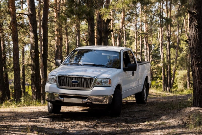Ford truck in the woods